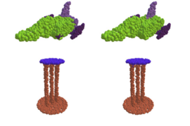 At left, EdgeConv, a method developed at MIT, successfully finds meaningful parts of 3D shapes, like the surface of a table, wings of an airplane, and wheels of a skateboard. At right is the ground-truth comparison.