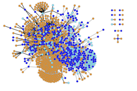 An algorithm designed to predict the biological effects of 800 “inactive” pill ingredients uncovered thousands of previously undocumented effects. In this visualization of the researchers’ results, inactive ingredients are shown in blue and their protein targets, in red. The number of predicted, and yet-to-be-verified, interactions (gray edges) outnumber those documented so far (in black).