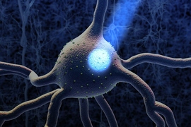 Optogenetics is a technique in which genes for light-sensitive proteins are introduced into specific types of brain cells in order to monitor and control their activity precisely using light signals.