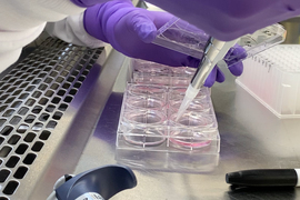 researcher analyzing samples