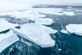 arctic ice