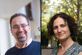 Headshots of professors Acemoglu and Staffilani
