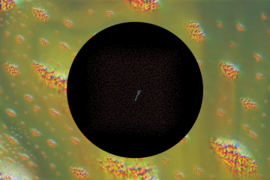 Greenish microscopic view with yellowish blobs of cells. In the middle, a very small computer-generated illustration of a molecule lies inside a large black circle