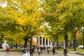 Photo of students walking under trees with mostly yellow but some green leaves, on the walkway in front of MIT's entrance at 77 Massachusetts Avenue
