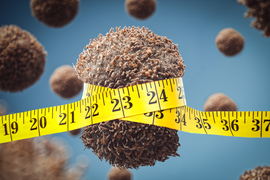 A yellow measuring tape is wrapped around a brown sphere representing a cell