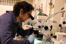 Photo of a man looking into a microscope in a laboratory