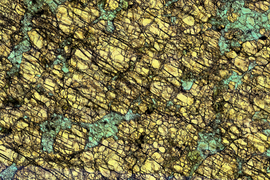 lower arc crustal rock