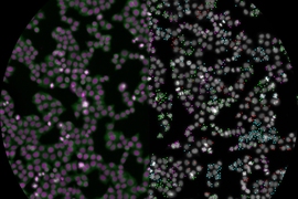 Sphere of dots, one side purple and blurry, right side gray and in-focus