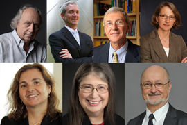 Grid of seven headshot photos