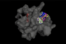 research paper about personality test A large, 3D gray mass binding to smaller molecules in various colors in one spot on the right side.