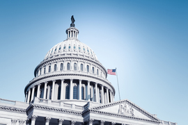 The United States Capital dome is shown in daytime.