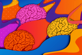 latest research papers on haptic technology Colorful collage shows 3 brain icons floating amongst wavey lines.