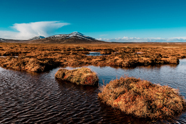 Landscape of a peat bog under a blue sky. In the foreground, several islands of peat are surrounded by water.
