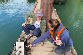 Sara Beery and another researcher crouch in front of a sonar camera system on a river dock