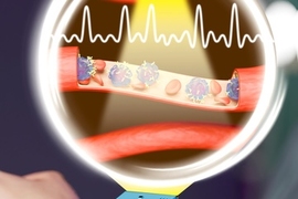 A device that looks like a wristwatch; an inset illustration above the device depicts monitoring red blood cells