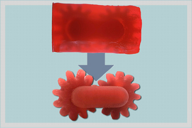 Two 3-D printed sets of gears, one with the back support in place, and the other with the surrounding support gone