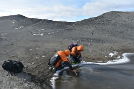 Researchers taking samples from a small pool of water