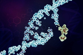 Golden particles join a DNA strand.