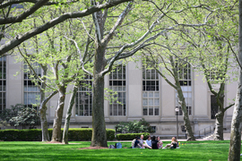 Group of students meet on the grass on campus.