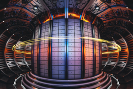 Interior of a tokamak fusion reactor