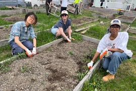 Kaidi Liu, Zaynab Eltaib, and Olivia Fiol pause their work on a raised garden bed to smile at the camera. At least five other beds are visible in the frame.
