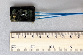 A photo of the hydrophone next to a ruler for scale. It is about 3 centimeters in length, appearing as a small black box with blue cables coming out of the bottom. 