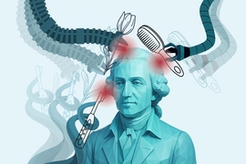 Bust of a man in colonial garb being tended by robotic manipulators holding a comb, a toothbrush, and a tulip