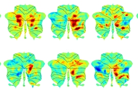 Six colorful MRI scans of the human brain with language-responsive regions highlighted in red.