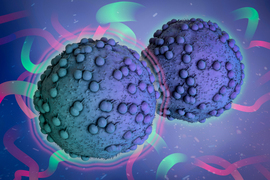 Two tumor cells, one with forcefield