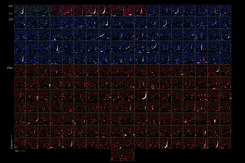 A chart shows 218 images of events detected on four observation runs, and each run is a different color. The X-axis is labeled “time” and the Y-axis is labeled “frequency.”
