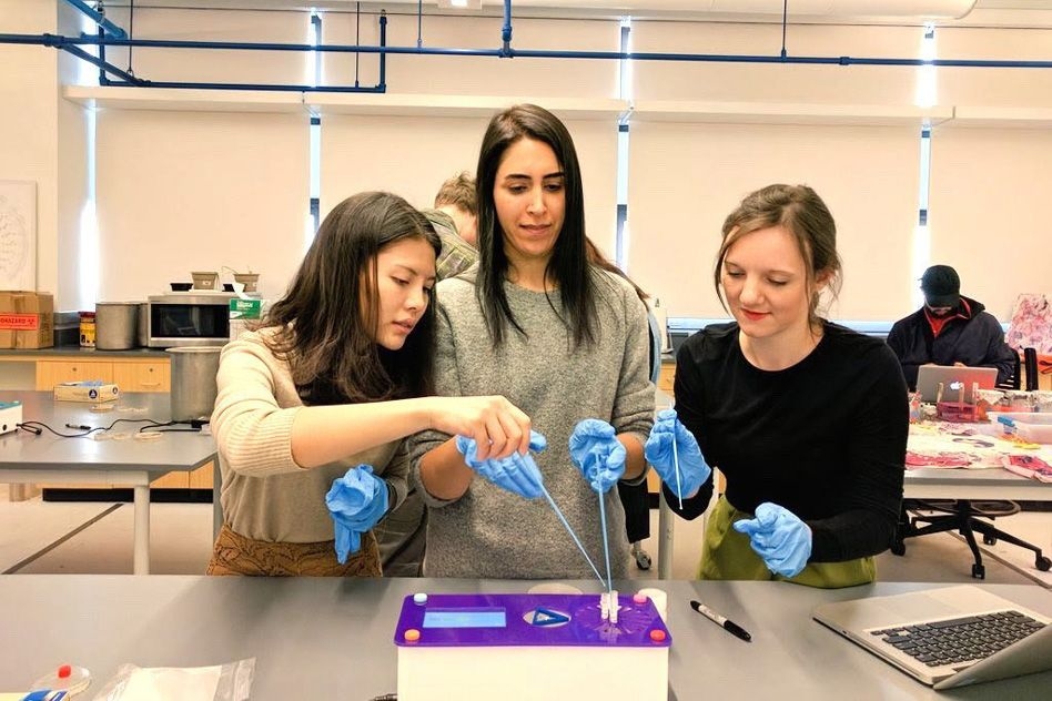 Startup aims to democratize synthetic biology