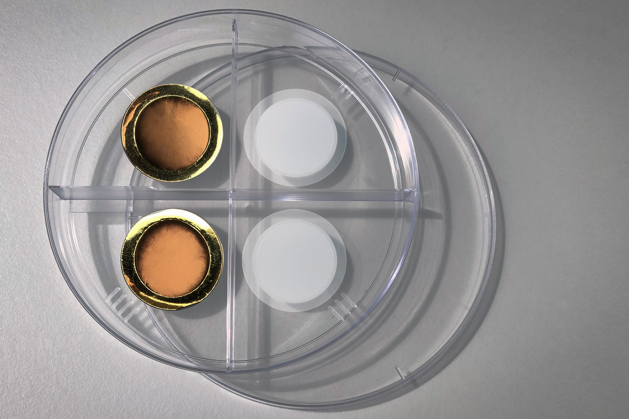 A controllable membrane to pull carbon dioxide out of exhaust streams