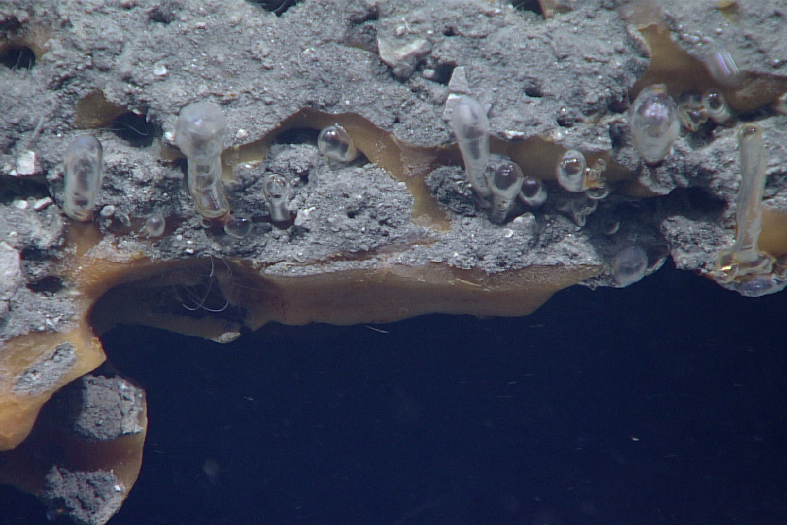 An escape route for seafloor methane