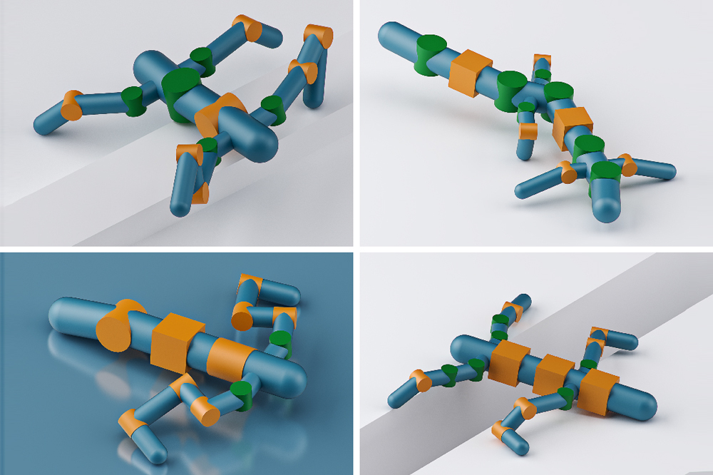 Computer-aided creativity in robot design