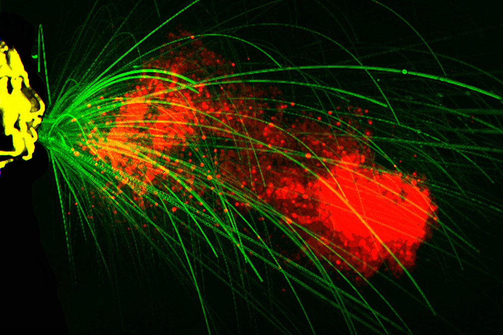 Slowing the spread of Covid-19