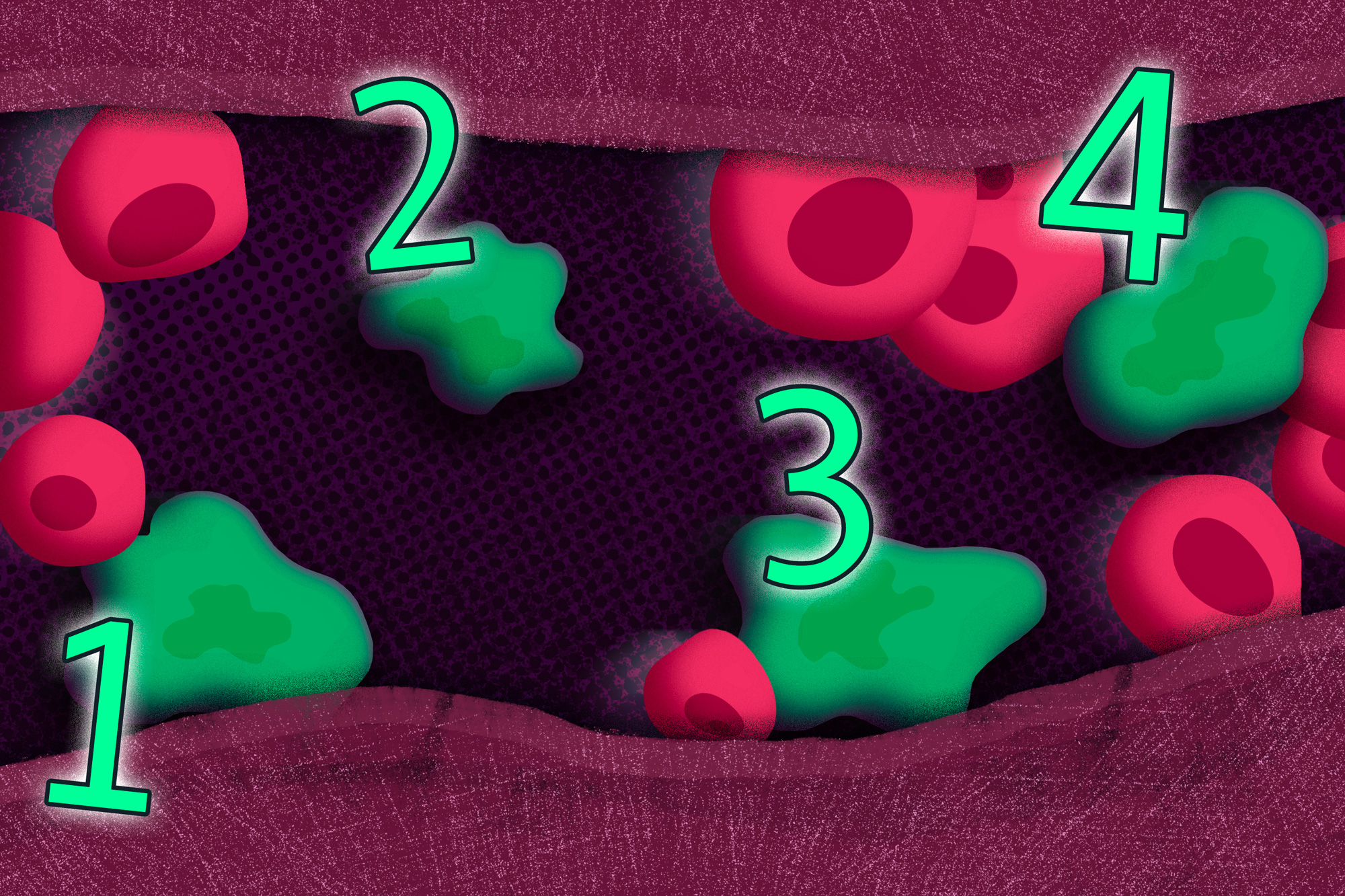Counting cells may shed light on how cancer spreads | MIT News