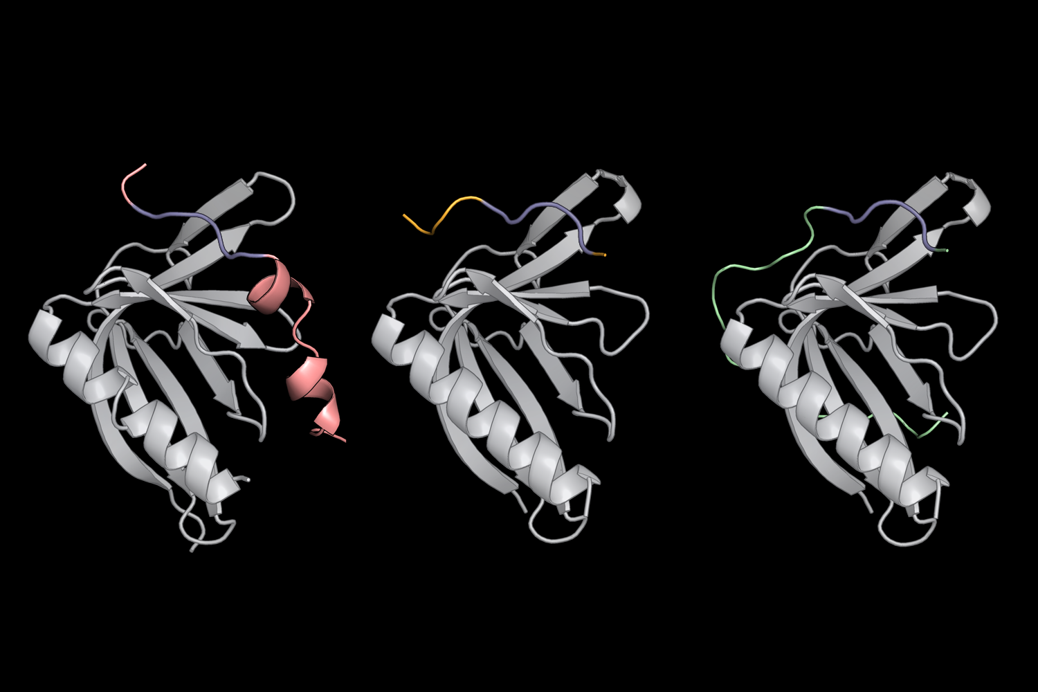 Probing how proteins pair up inside cells | MIT News