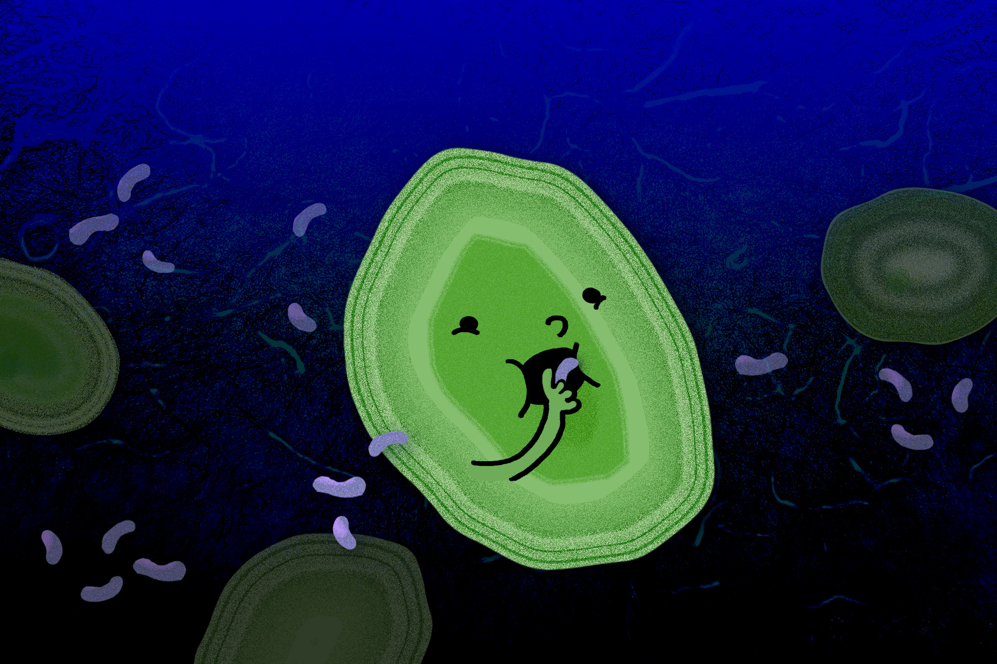 Ocean microbes get their diet through a surprising mix of sources, study finds