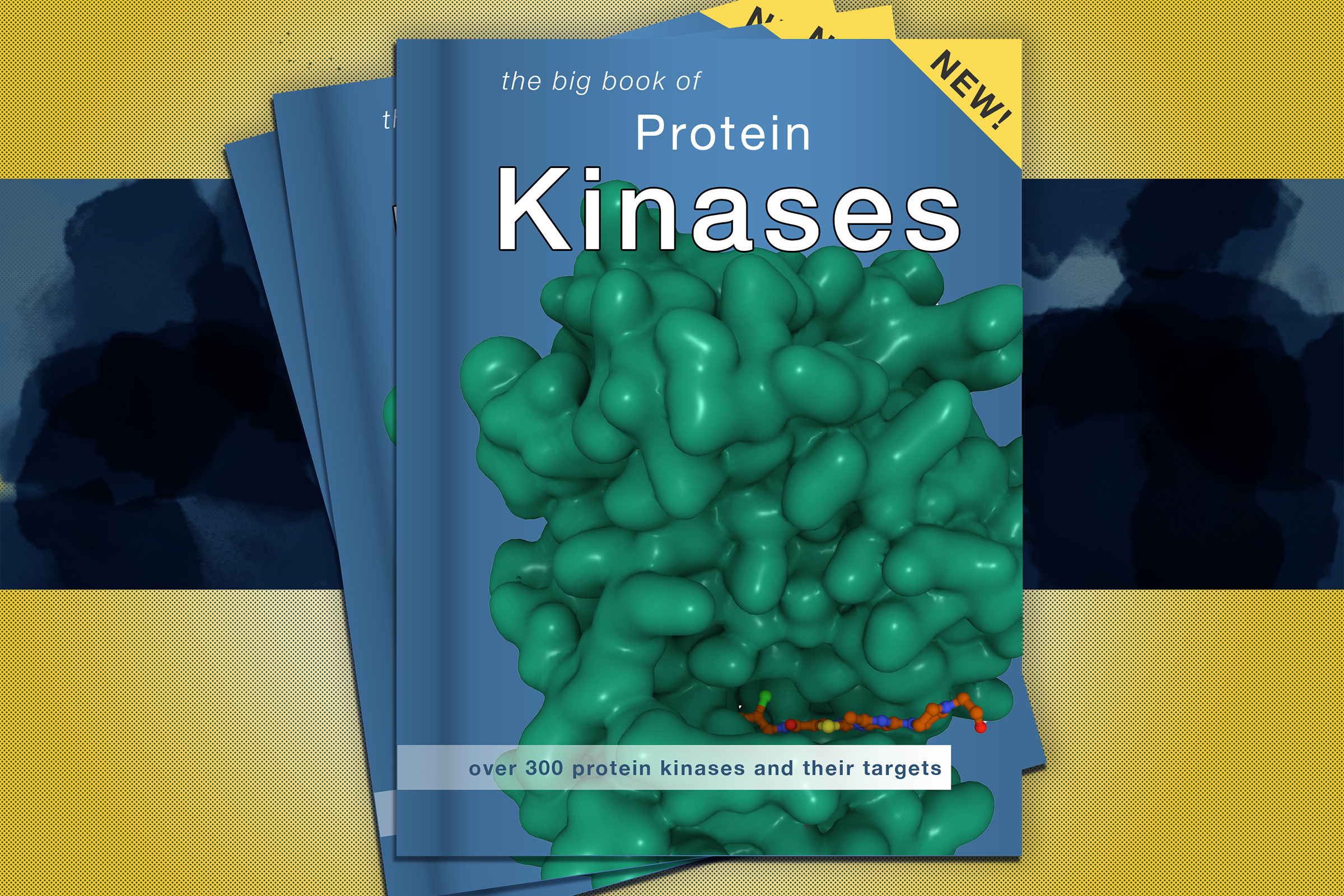Enzyme “atlas” helps researchers decipher cellular pathways
