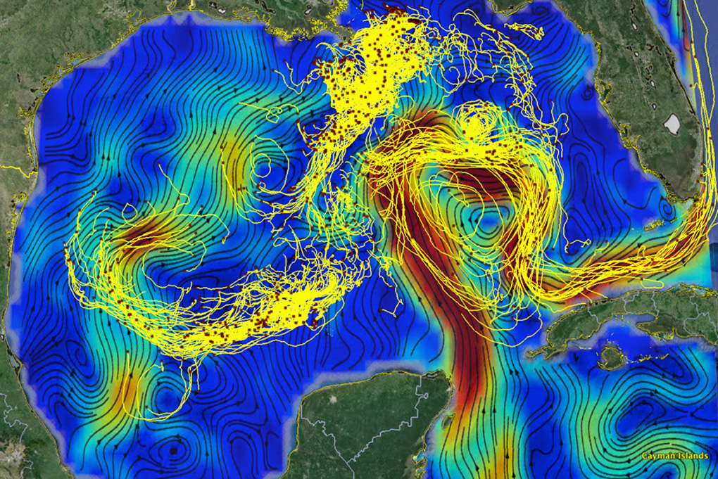 Computer scientists at MIT joined forces with oceanographers to develop a machine-learning model that incorporates knowledge from fluid dynamics to generate more accurate predictions about the velocities of ocean currents. This figure shows drifting buoy trajectories in the Gulf of Mexico superimposed on surface currents. The red dots mark the buoys’ positions on March 9, 2016, and the tails are 14 days long.