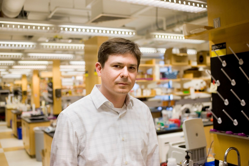 Christopher Voigt named head of the Department of Biological Engineering