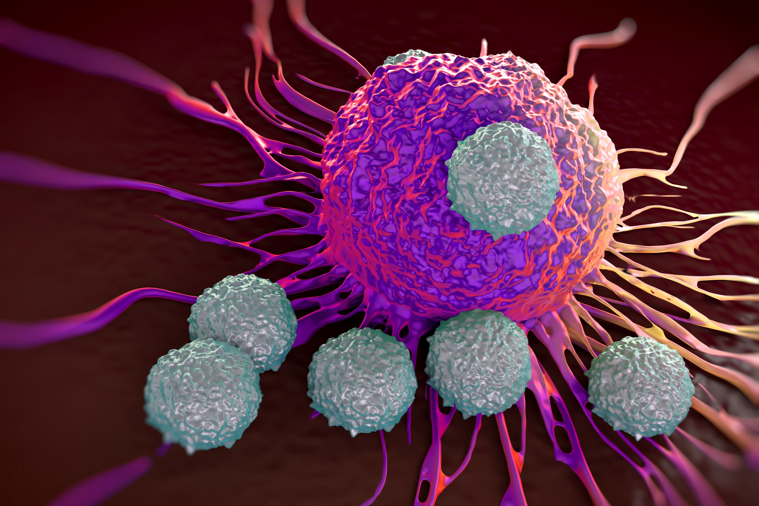 Vaccine delivers a boost to T cell therapy