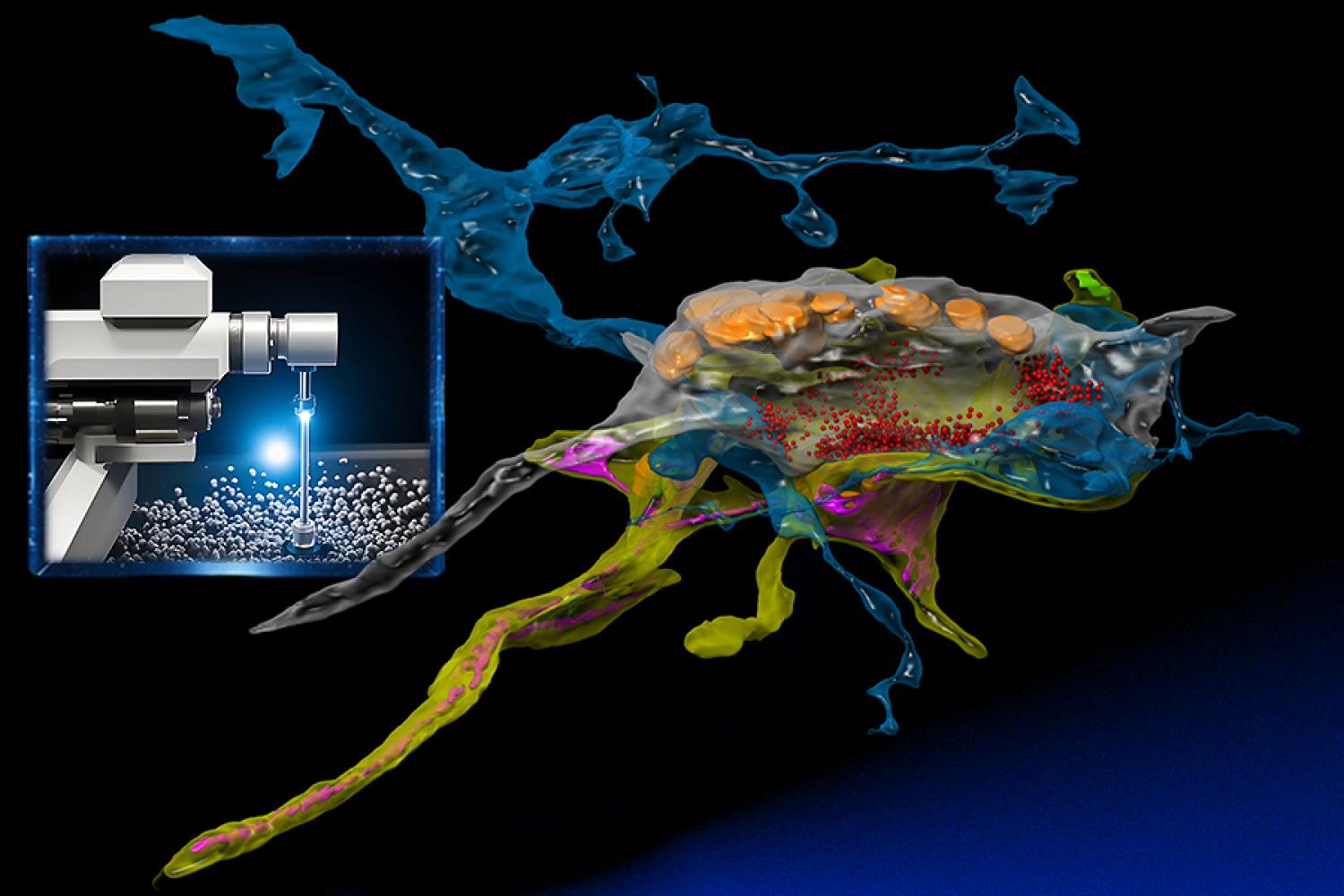  Using AI to optimize for rapid neural imaging 