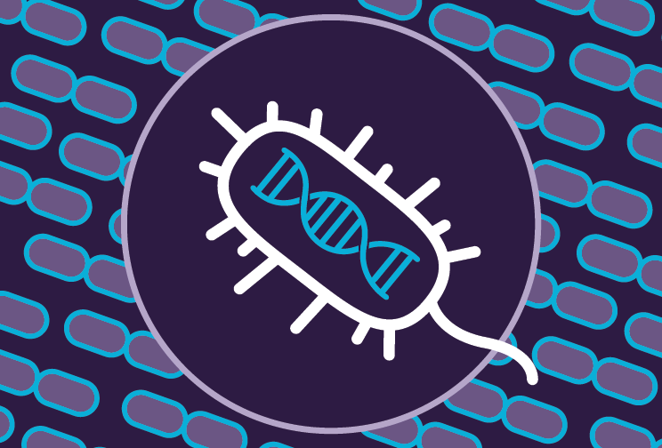 Search algorithm reveals nearly 200 new kinds of CRISPR systems