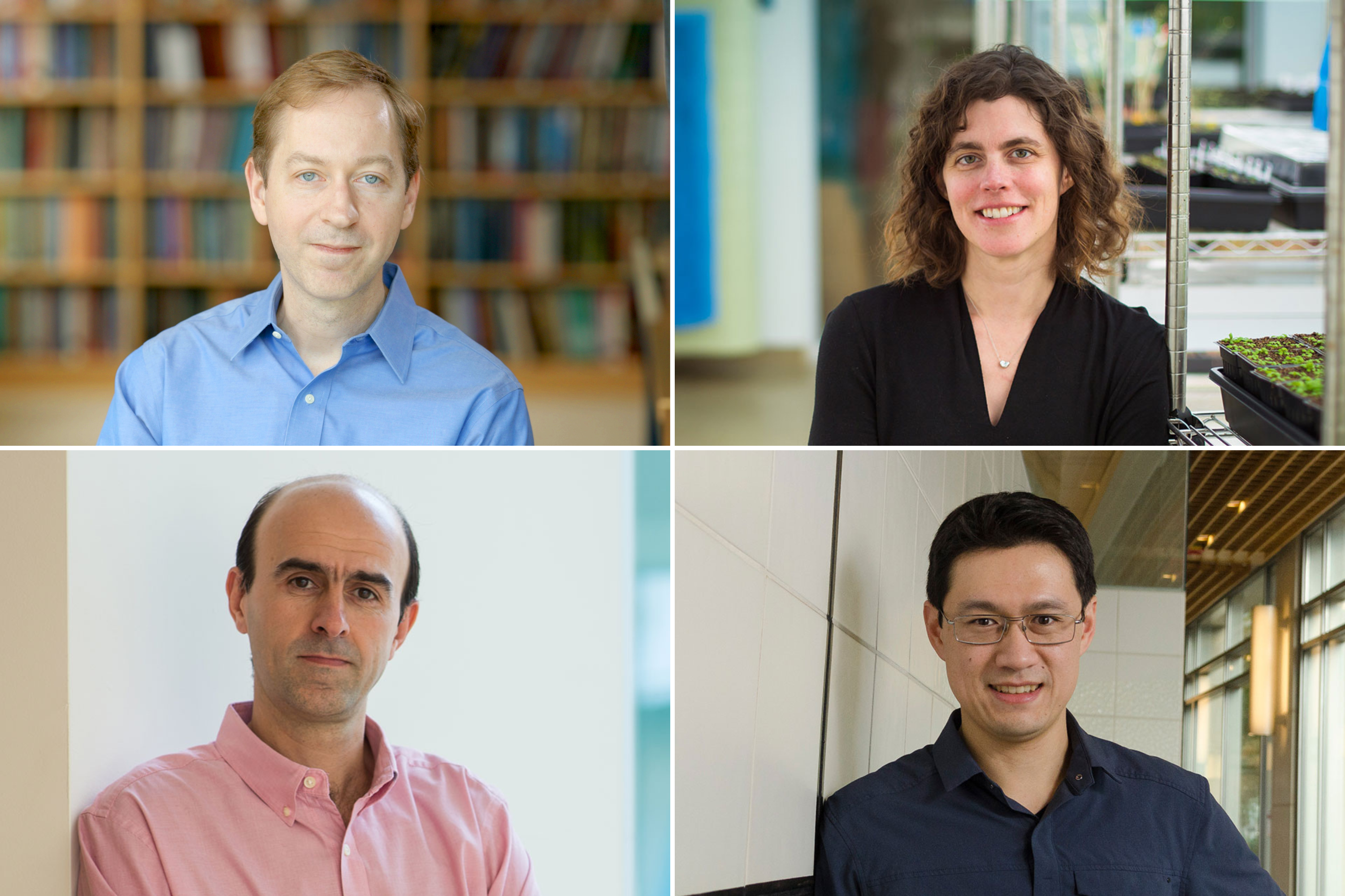 Clockwise from top left: MIT faculty members Steve Flavell, Mary Gehring, Gene-Wei Li, and Mehrad Jazayeri were selected from almost 1,000 eligible applicants for this 2024 HHMI Investigators cohort. Four others with MIT ties — Jonathan Abraham, Dmitriy Aronov PhD ’10, Vijay Sankaran, and Steven McCarroll — were also honored.