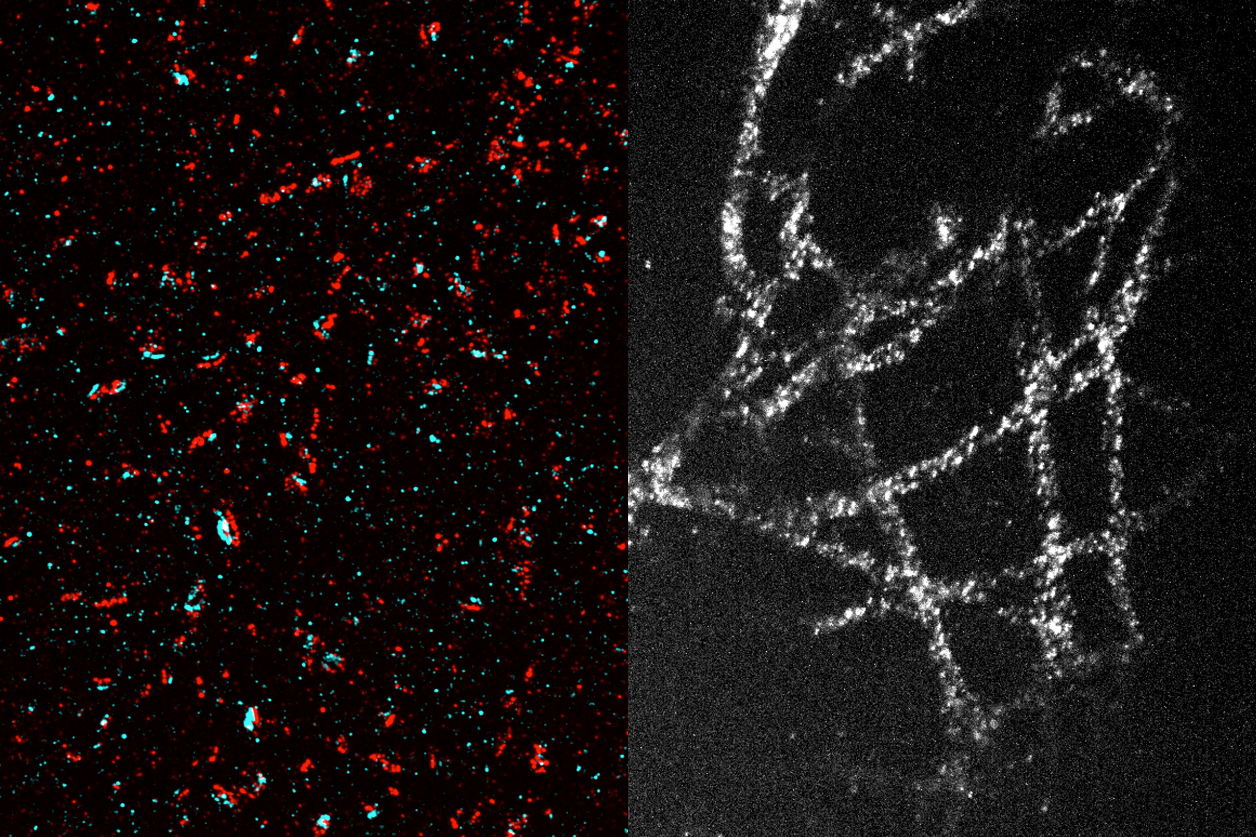 A new method makes high-resolution imaging more accessible