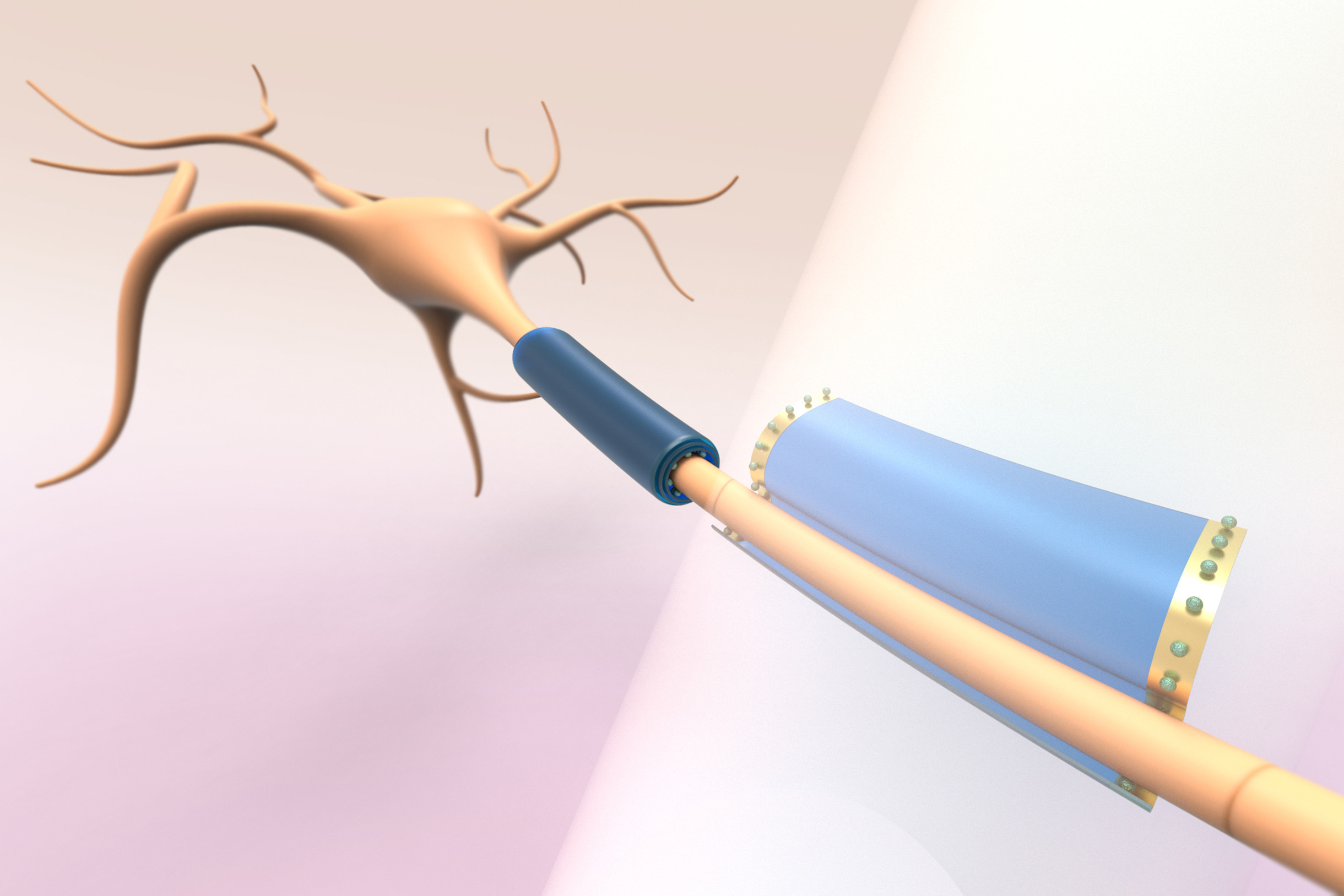 “Wearable” devices for cells