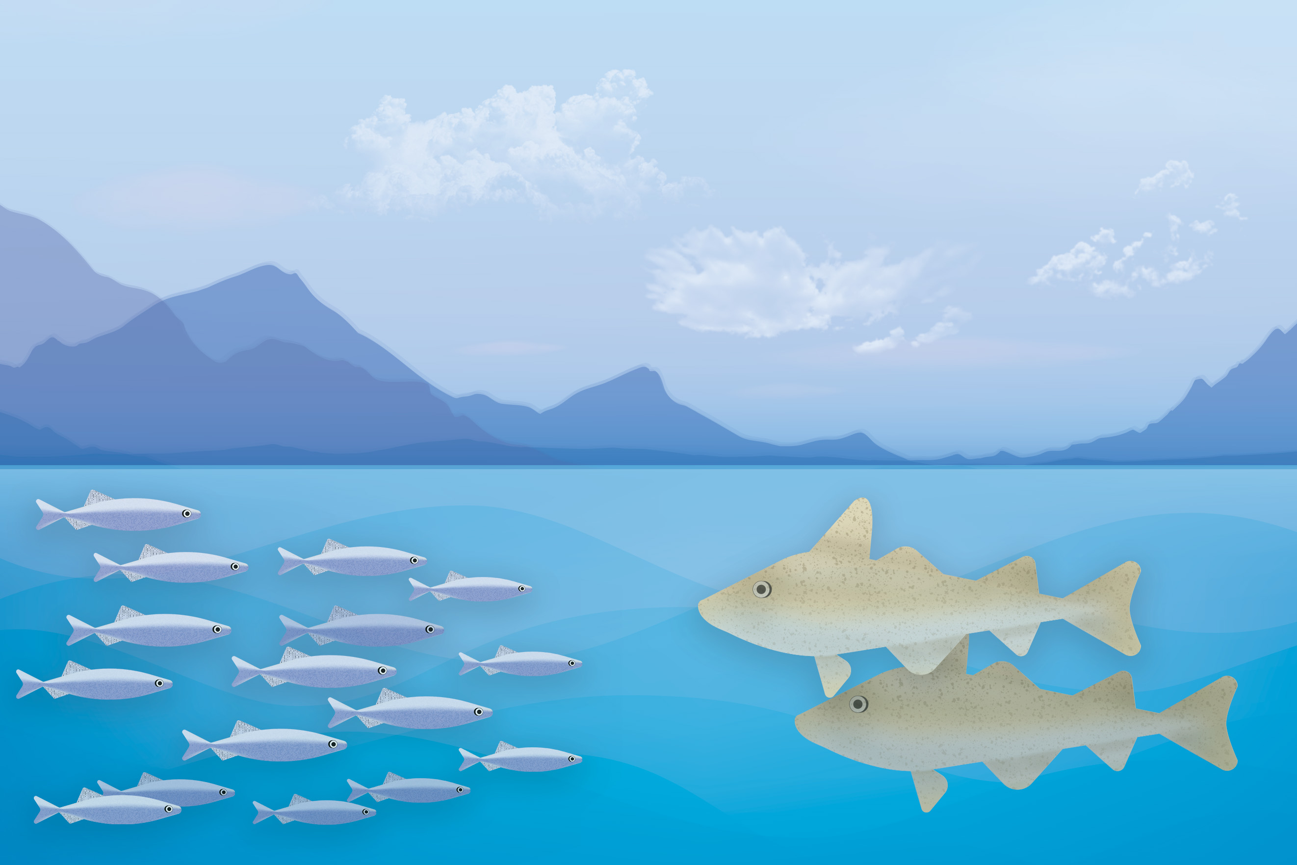 Oceanographers record the largest predation event ever observed in the ocean