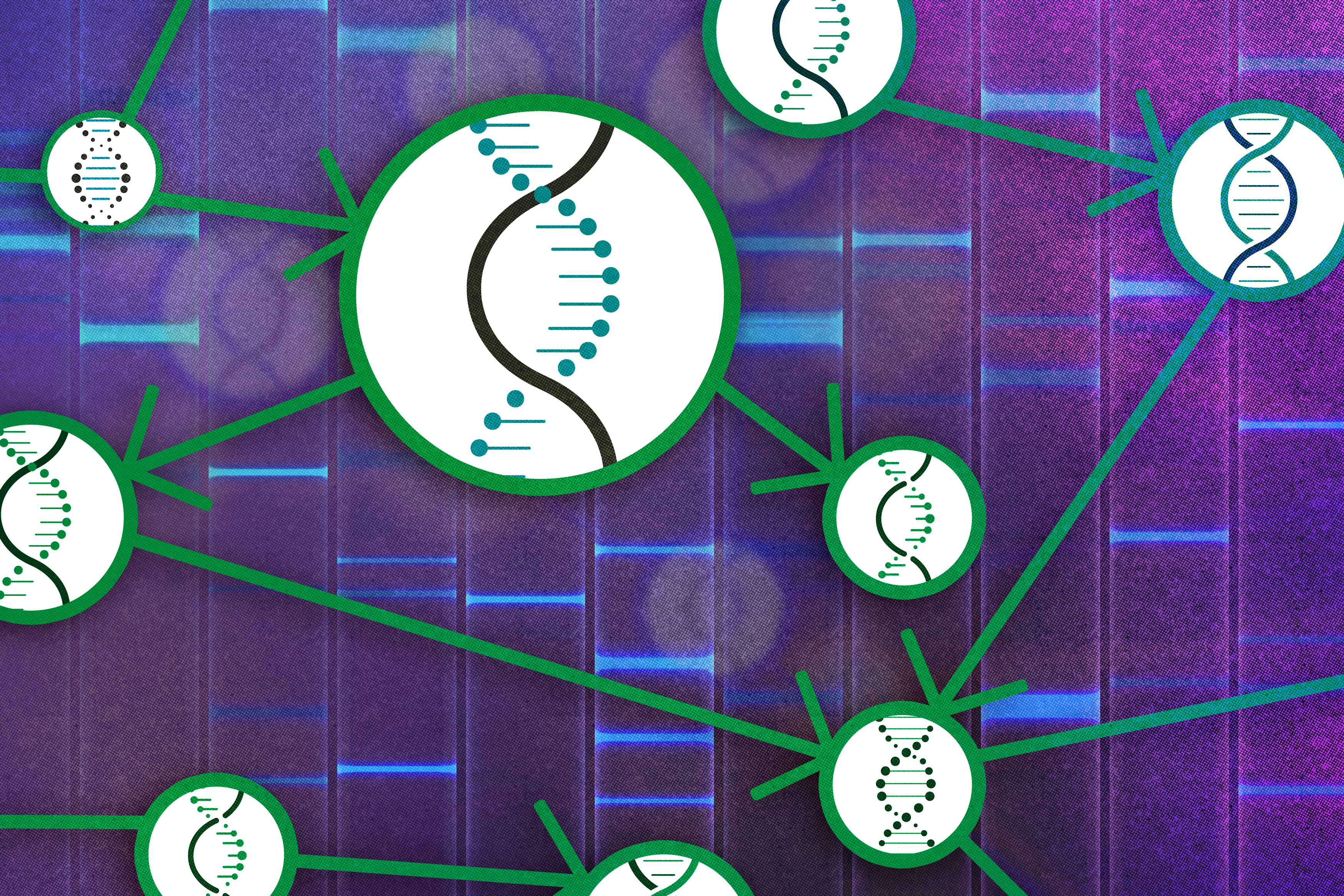 A causal theory for studying the cause-and-effect relationships of genes