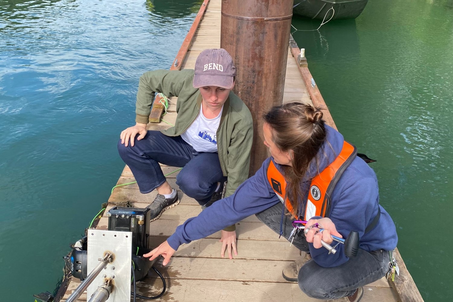 Streamlining data collection for improved salmon population management
